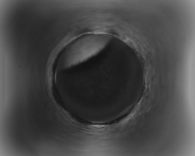 X0000089430295200706151314