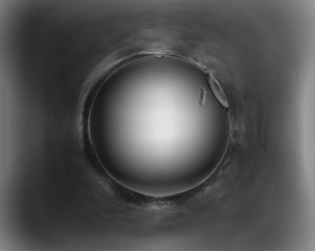 X0000089430296200706151314