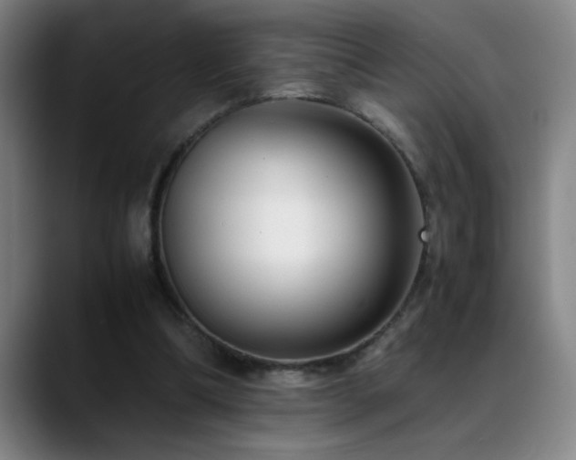 X0000089430298200706151314