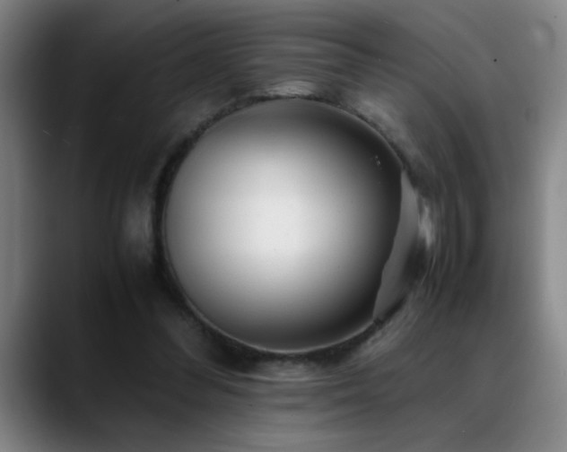 X0000089430300200706151314