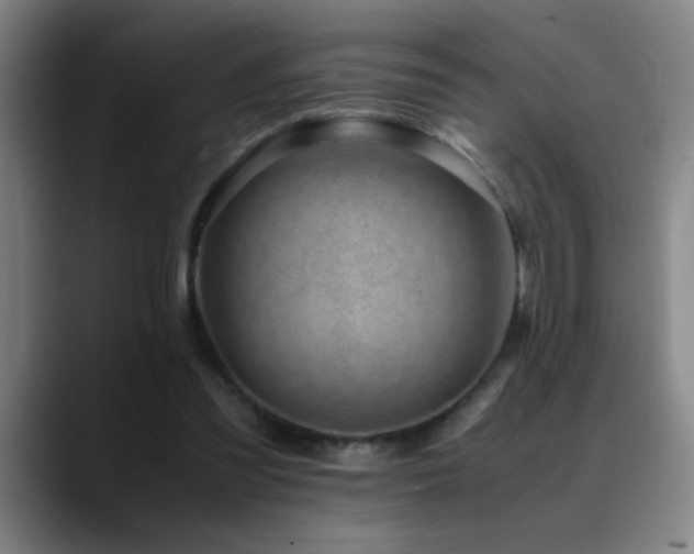 X0000089430301200706151313