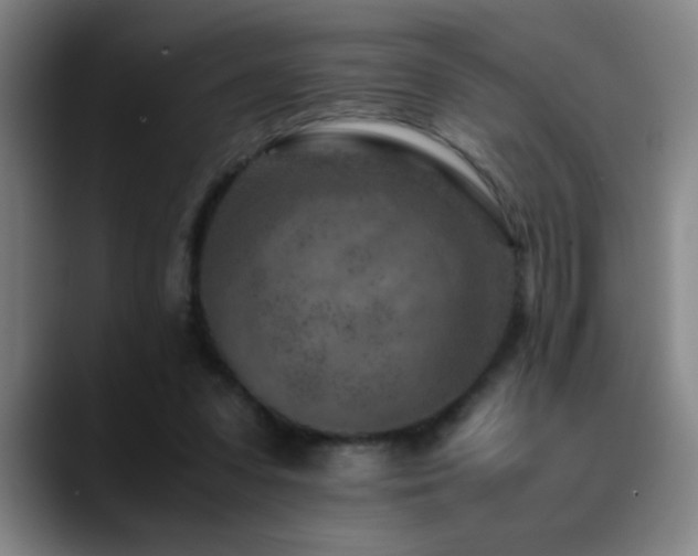 X0000089430303200706151313