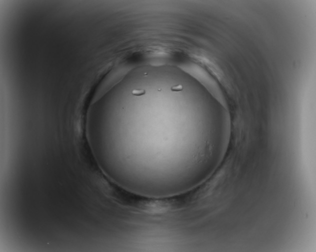 X0000089430305200706151313