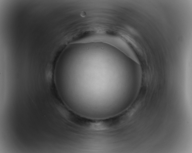 X0000089430309200706151313