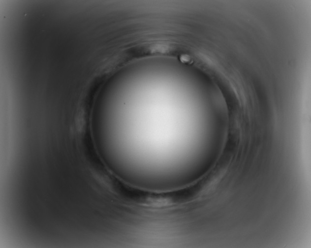 X0000089430311200706151313
