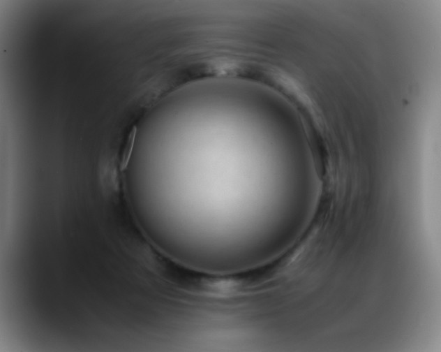 X0000089430313200706151313