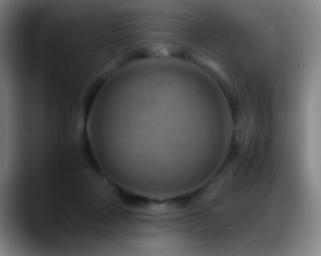 X0000089430314200706151313