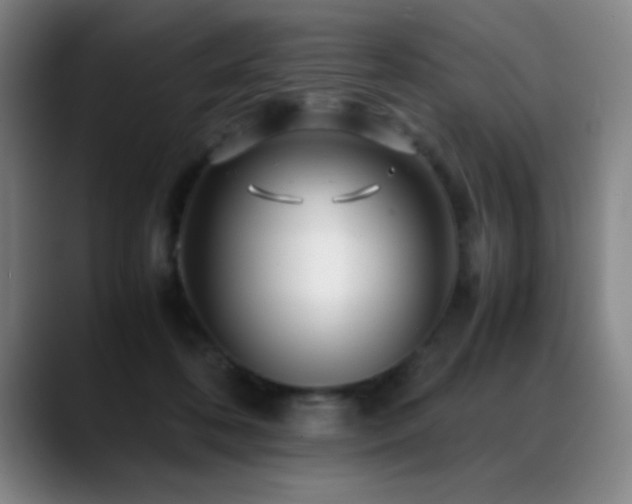 X0000089430316200706151313