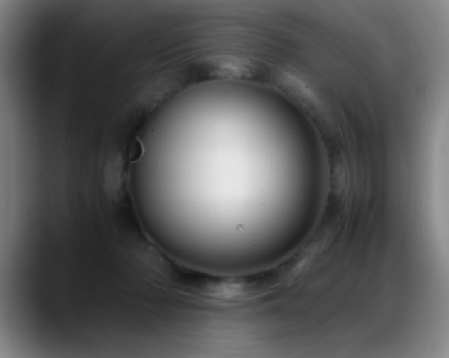 X0000089430318200706151313