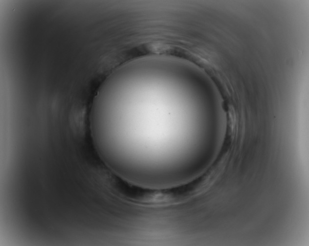 X0000089430319200706151313