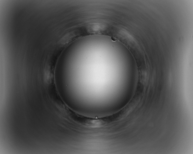 X0000089430324200706151313