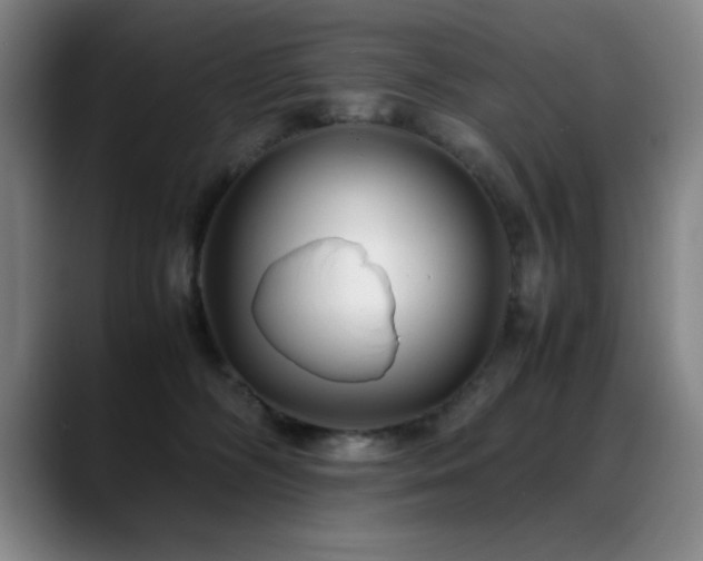 X0000089430326200706151313