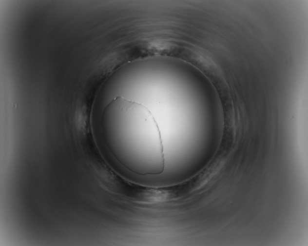 X0000089430328200706151313