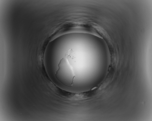 X0000089430329200706151313