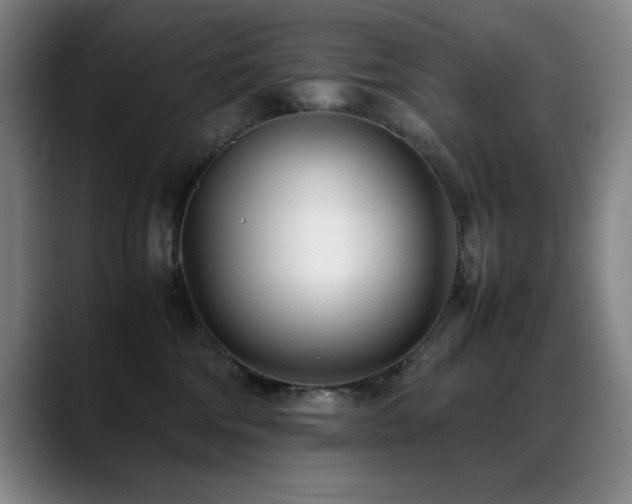 X0000089430330200706151313
