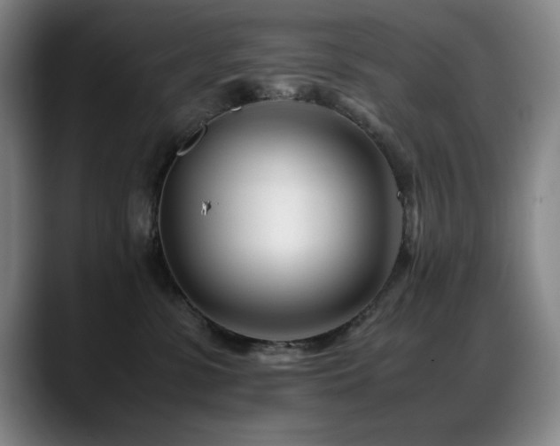 X0000089430331200706151313