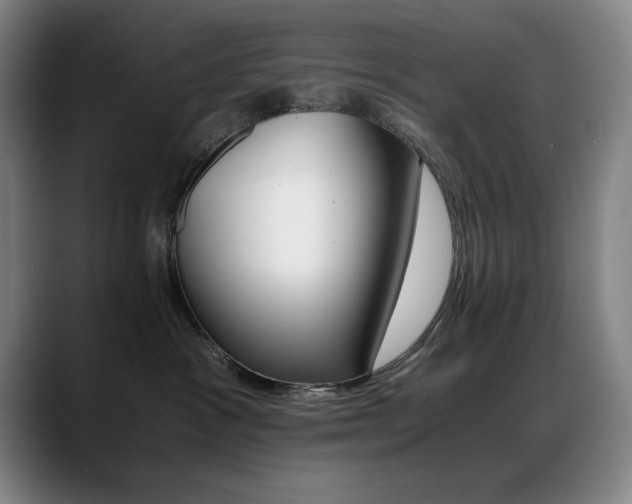 X0000089430333200706151313