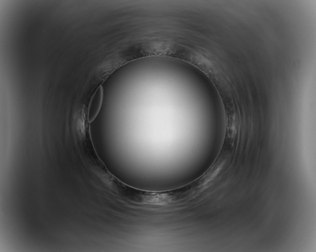 X0000089430334200706151313