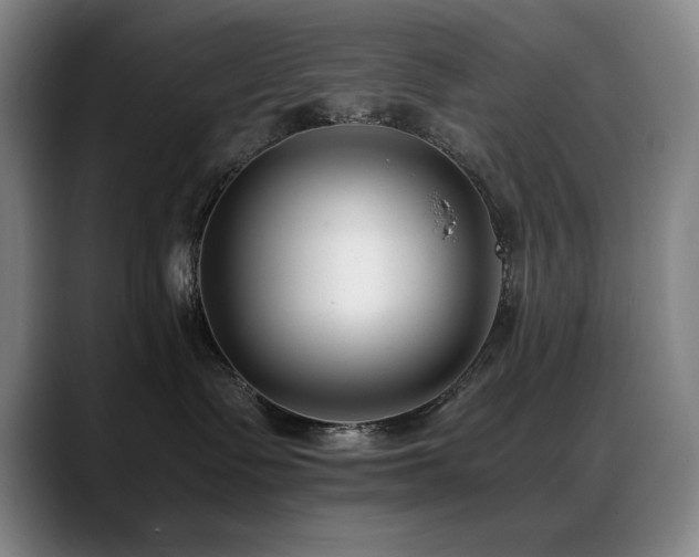 X0000089430335200706151313