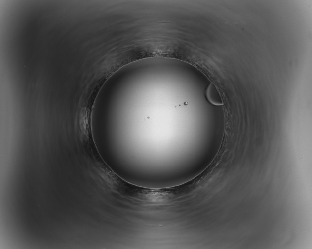 X0000089430336200706151313