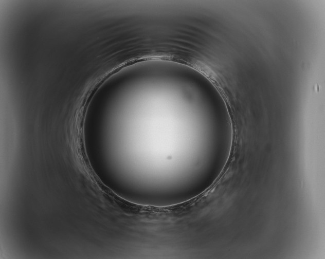 X0000089430337200706151313