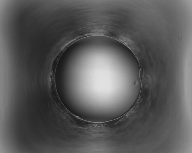 X0000089430338200706151313