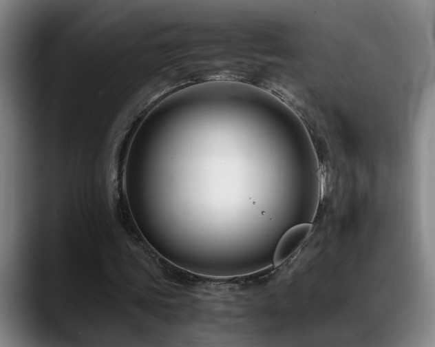 X0000089430339200706151313
