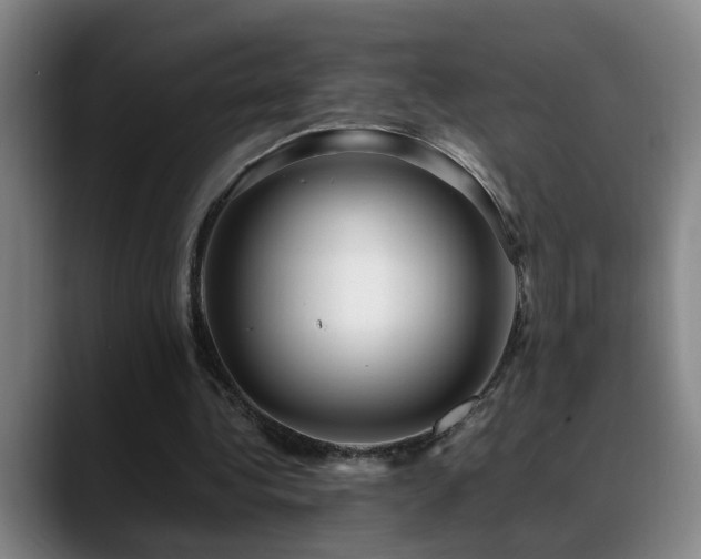 X0000089430340200706151313