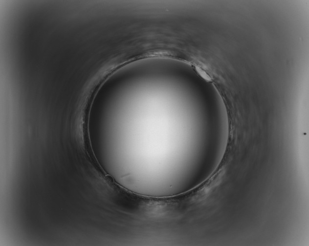 X0000089430341200706151313