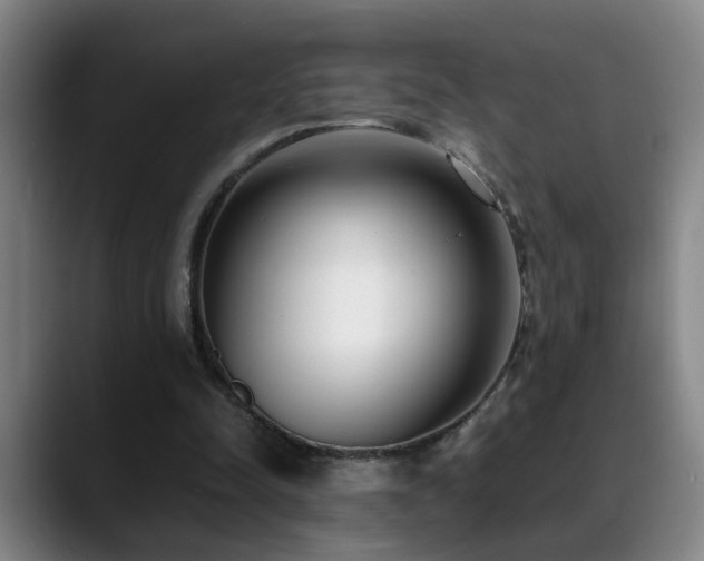 X0000089430342200706151313