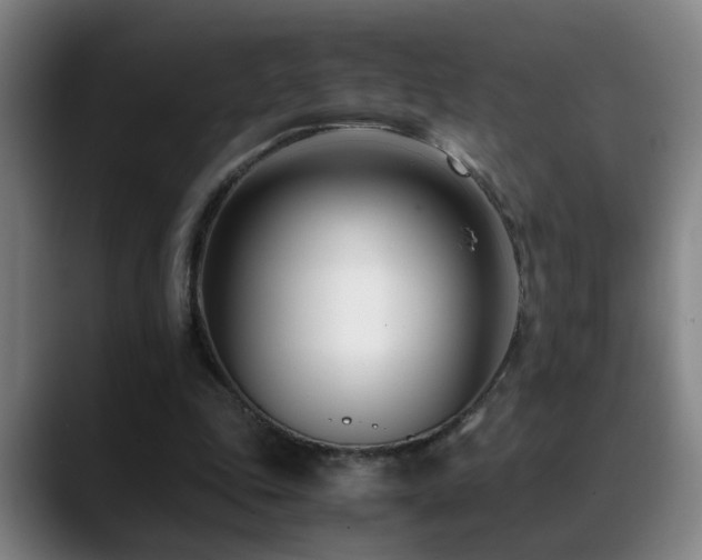 X0000089430343200706151313