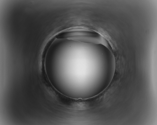 X0000089430344200706151313