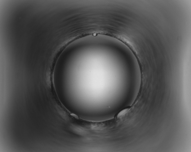 X0000089430345200706151313