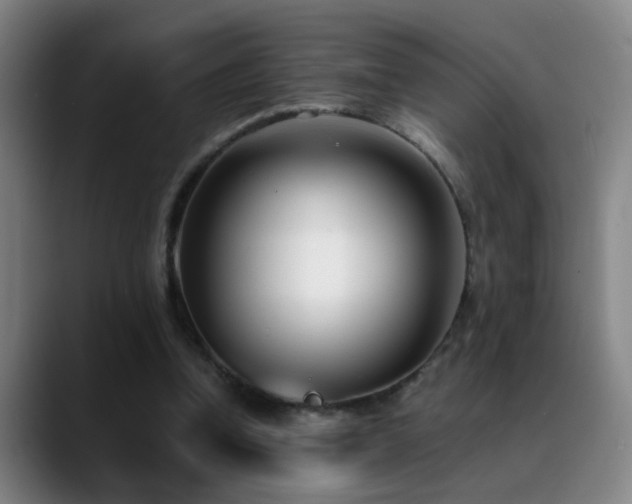X0000089430346200706151313