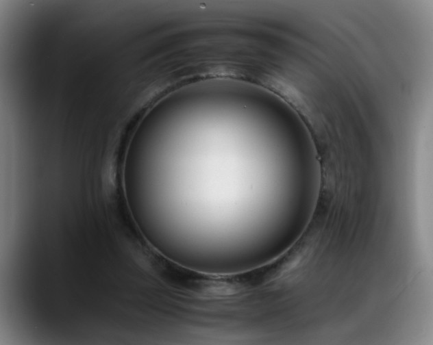 X0000089430347200706151313