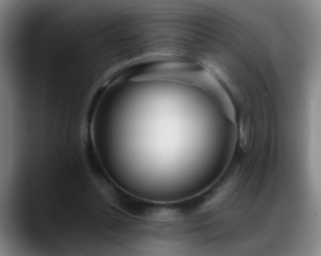 X0000089430348200706151313