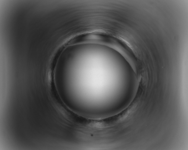 X0000089430350200706151313