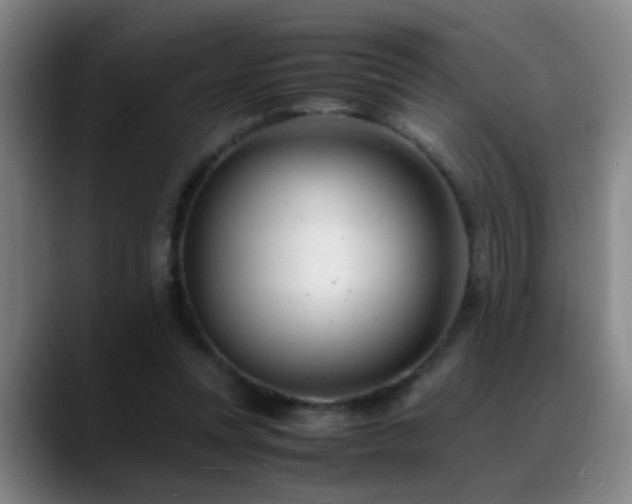 X0000089430351200706151313