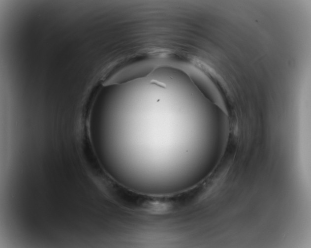 X0000089430352200706151313