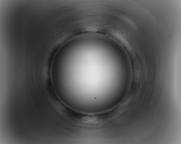 X0000089430354200706151313