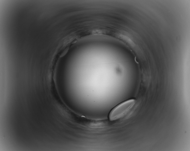 X0000089430357200706151313