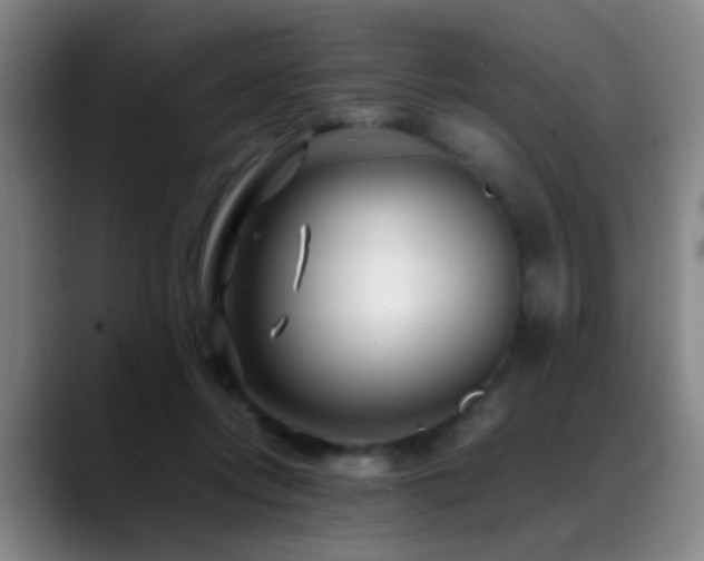 X0000089430358200706151313