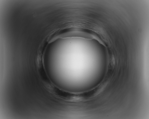 X0000089430360200706151313
