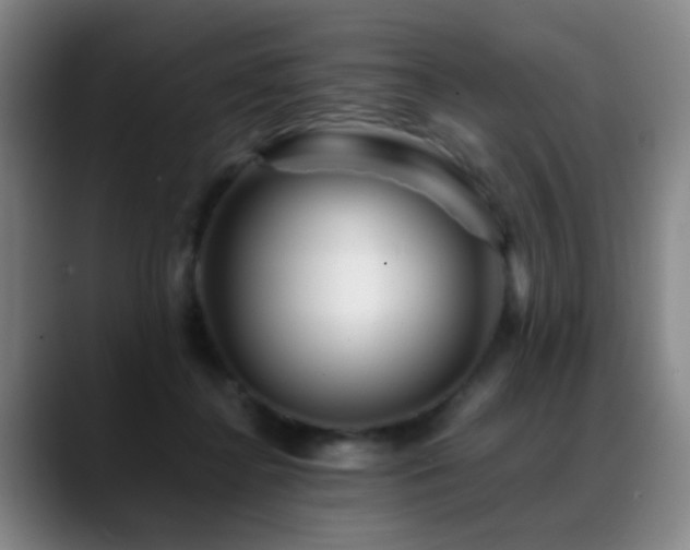 X0000089430364200706151313