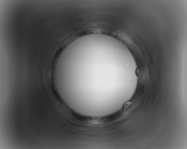 X0000089430365200706151313