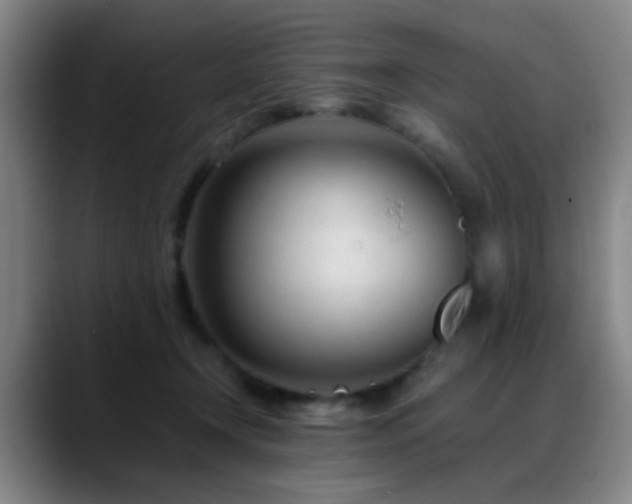 X0000089430366200706151313
