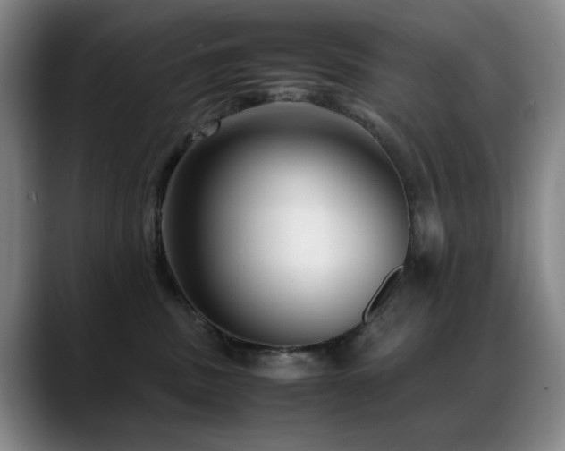 X0000089430379200706151313