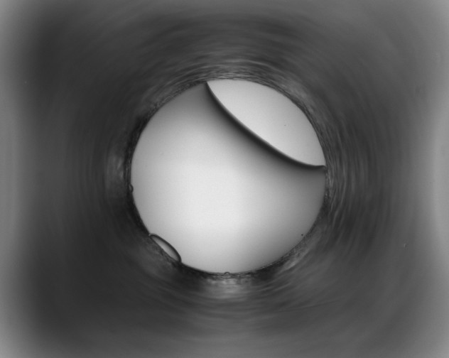 X0000089430381200706151313