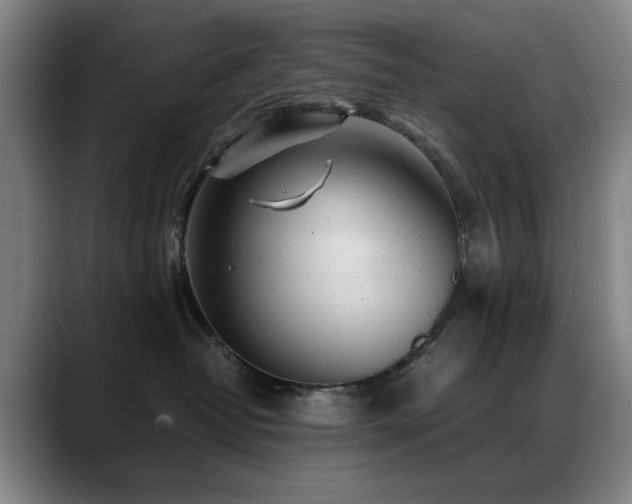 X0000089430382200706151313