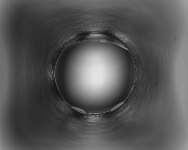 X0000089430384200706151313